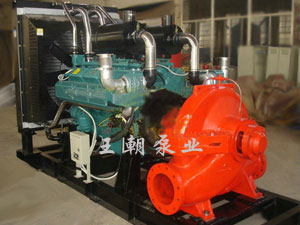 CWY系列船用柴油機(jī)應(yīng)急消防泵